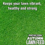 Pro-Kleen Autumn Lawn Feed 2.5kg - Green Up & Disease Prevention view 2