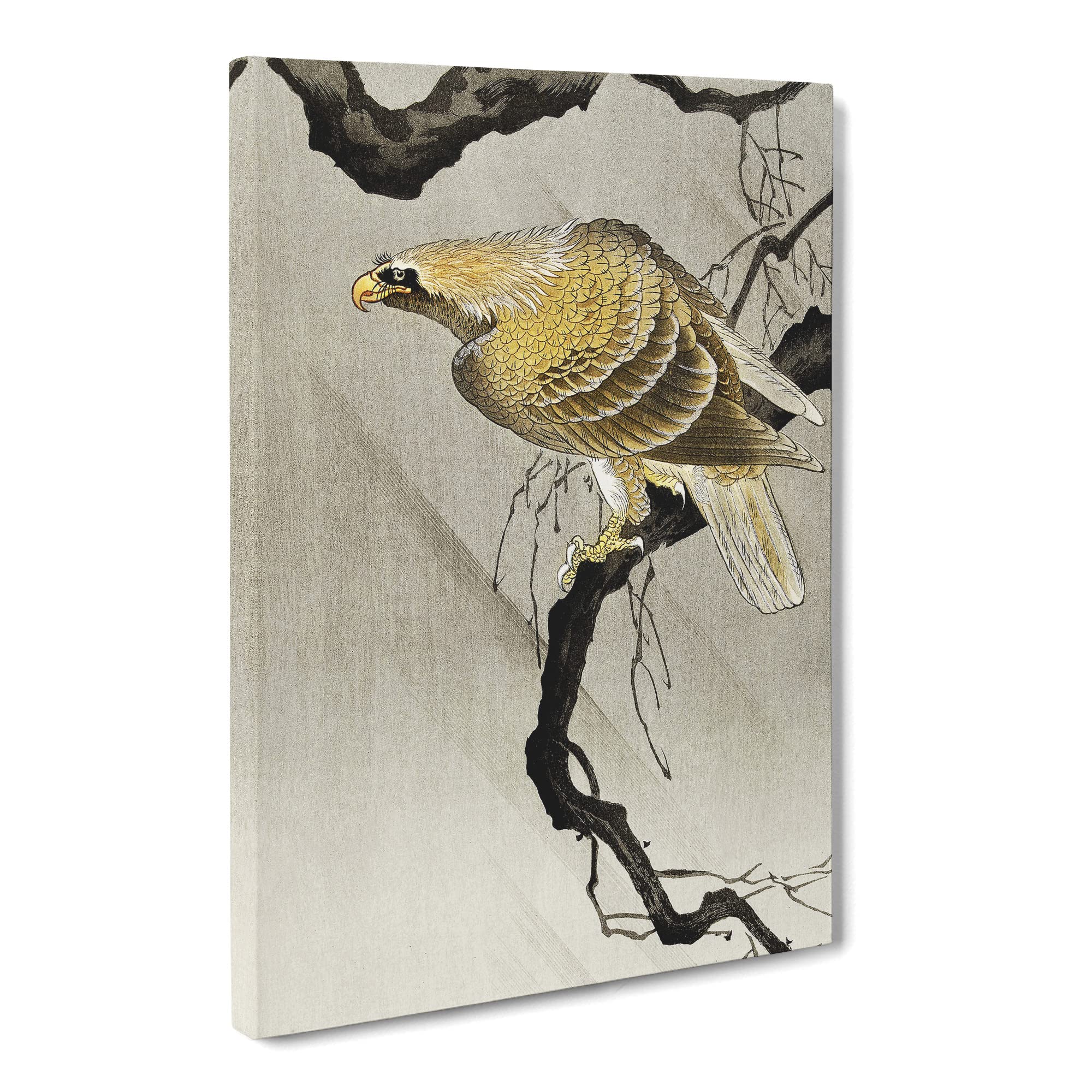 Eagle In The Tree By Ohara Koson Canvas Print | Gallery Wrapped 30mm Frame Wall Art | 20x14 inches | Ready to Hang | Asian Animals Picture | Living Room Bedroom Lounge Office
