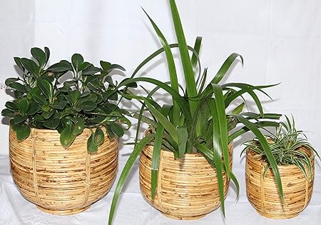 Cane Pot Planter Tub Planter by RDE Collections (Set of 3 - Small, Medium and Large)
