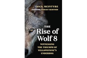 The Rise of Wolf 8: Witnessing the Triumph of Yellowstone's Underdog (The Alpha Wolves of Yellowstone Book 1)
