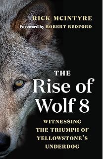 American Wolf A True Story Of Survival And Obsession In The West