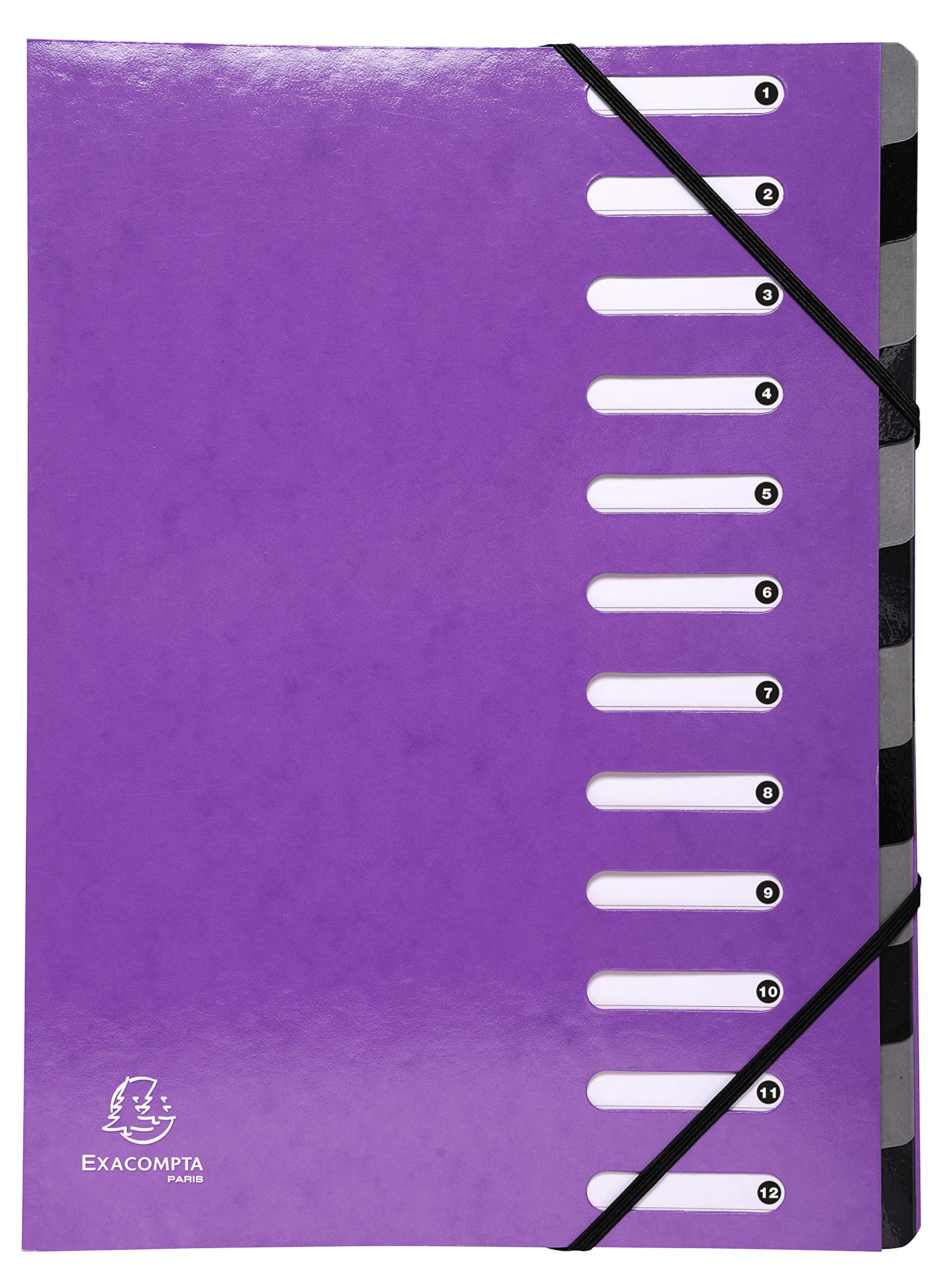 Exacompta - Ref 53926E - Iderama Collection - Harmonika Multipart File - 245 x 320mm in Size, Suitable for A4 Documents, 12 Multicoloured Tabbed Sections - Purple