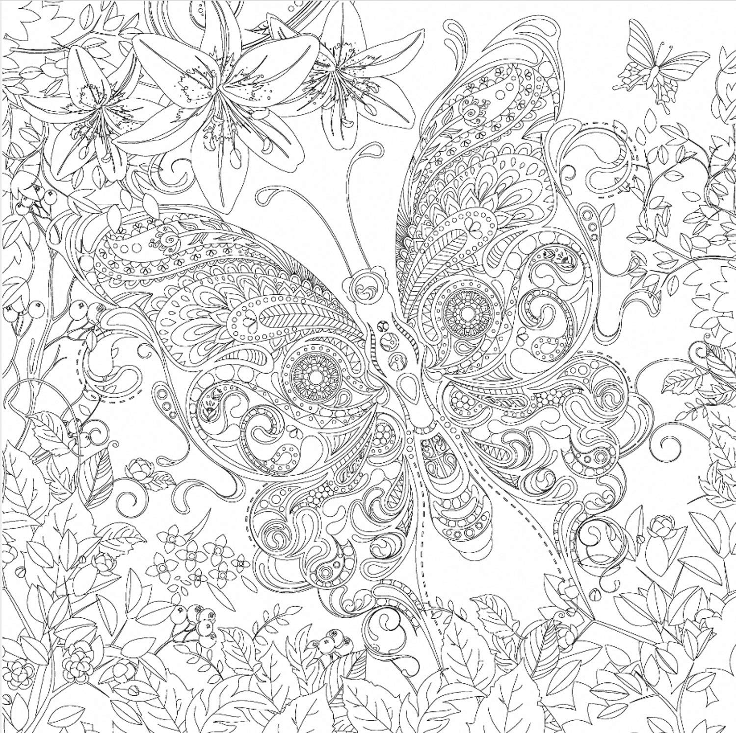 Honsell 12126 Stretcher Frame with Butterfly Motif, Size 30 x 30 cm, Pre-Printed Motif for Colouring with Acrylic, Watercolour and Oil Paints and Felt Pens — image 1