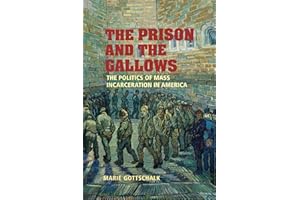 The Prison and the Gallows: The Politics of Mass Incarceration in America (Cambridge Studies in Criminology)