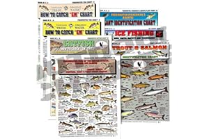 TIGHTLINES PUBLICATIONS Freshwater Fish Identification Chart Set - Waterproof Quick Reference Fishing Guide - 80+ Fish Species ID - (US, Canada, and Alaska) - Double-Sided & Easy to Read - Great Gift for Beginners