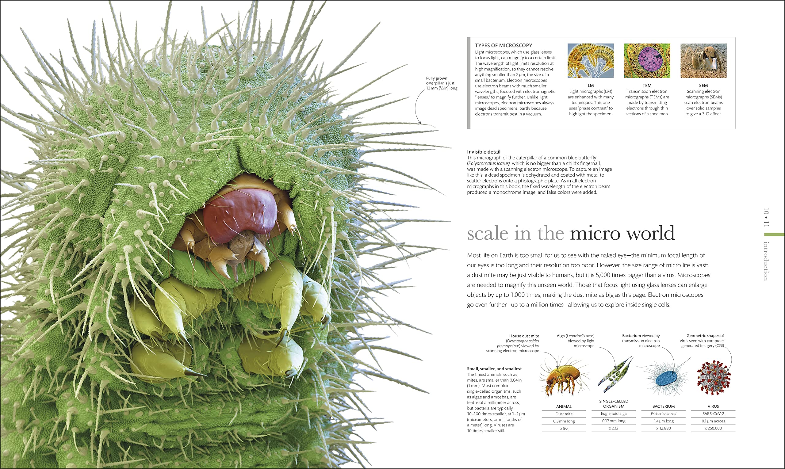 Micro Life: Miracles of the Miniature World Revealed (DK Secret World Encyclopedias) (Packaging may vary)