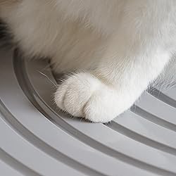 IRIS USA Cat Litter Box, Top Entry Litter Box with