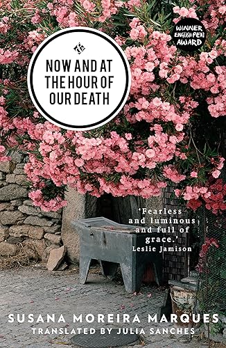 Download Now and at the Hour of Our Death PDF