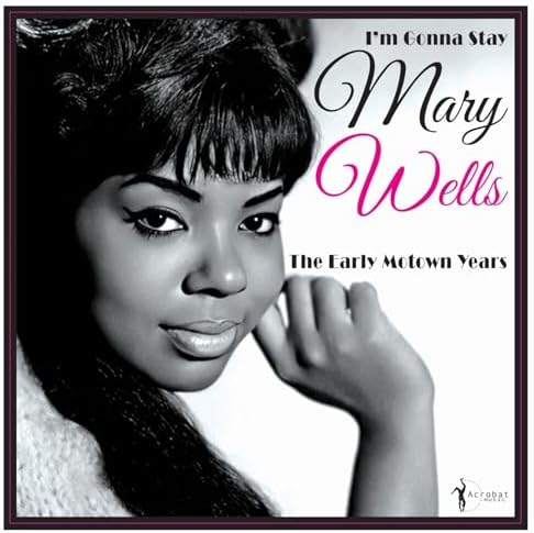 Mary Wells/Bye Bye Baby【LP・USオリジナル・激レア】 Mary Wells