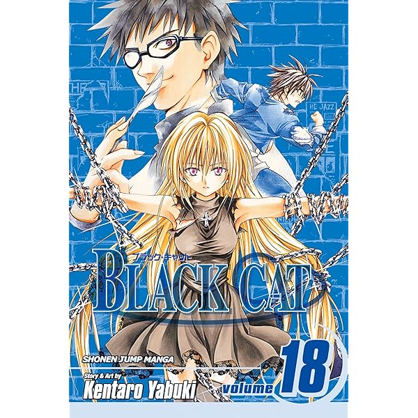 Black Cat, Vol. 19: Yabuki, Kentaro: 9781421523781: Amazon.com: Books