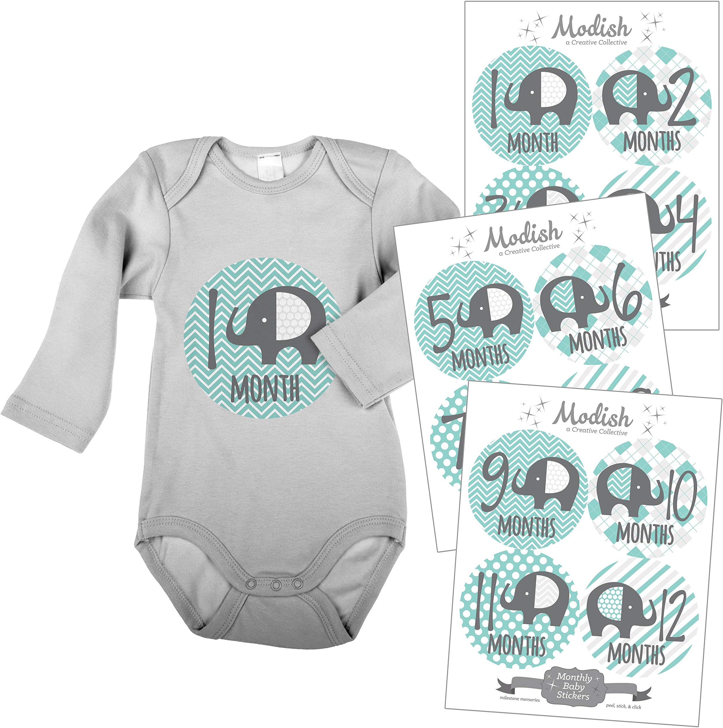 Modish - Creative Collective Baby Stickers, Elephants, Baby Boy, Elephant Baby Belly Stickers, Elephant Baby Month Stickers, First Year Stickers Months 1-12, Teal, Mint, Elephants, Boy, Grey
