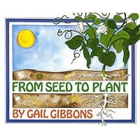 From Seed to Pumpkin