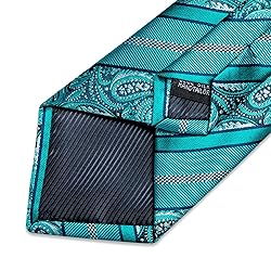 DiBanGu Silk Paisley Ties for Men Woven Necktie and