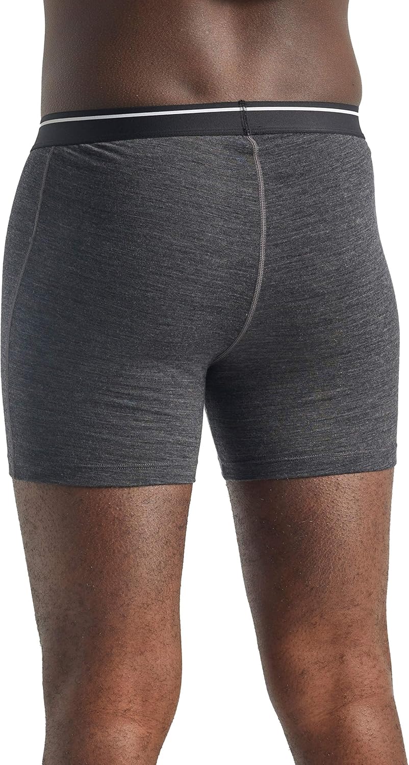 Icebreaker Merino Men's Anatomica Boxer Underwear: Clothing