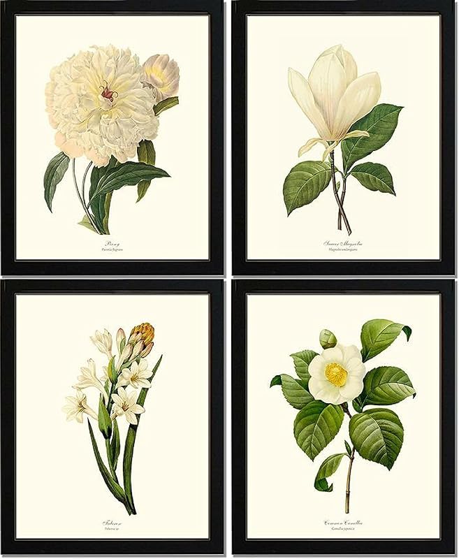 White Botanical Flower Prints, Unframed Set of 4 Vintage