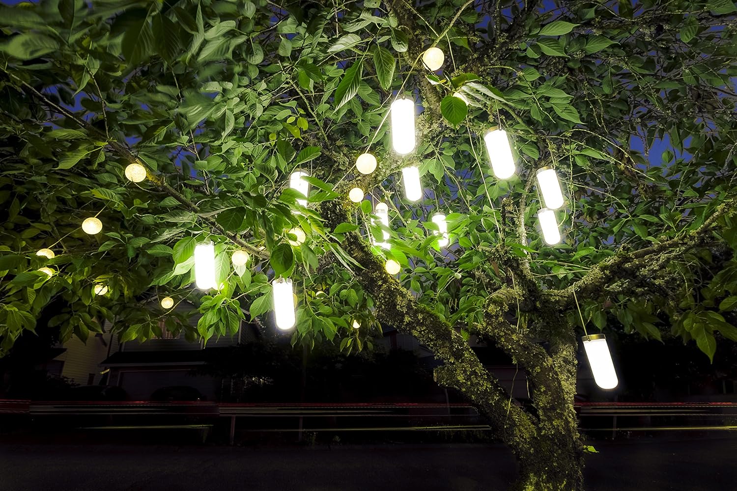 Amazon.com : Hanging Solar Garden Tree Light - Waterproof Solar Lights
