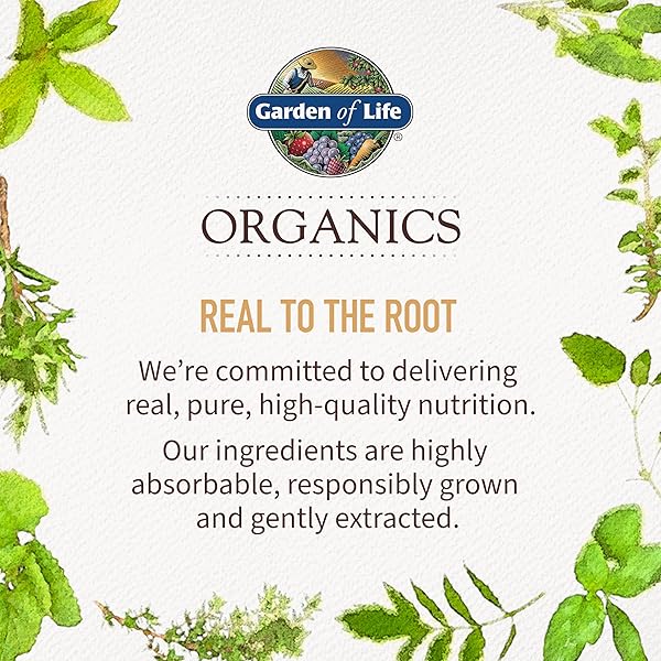 GARDEN OF LIFE ORGANICS GOLDEN MILK RECOVERY & NOURISHMENT POWDER – 44MG TURMERIC CURCUMIN (95% CURCUMINOIDS), ASHWAGANDHA – ORGANIC NON-GMO VEGAN & GLUTEN FREE HERBAL SUPPLEMENTS, 30 SERVINGS
