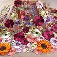 47'' 3D Mixed Colors Embroidered Flowers on Black, Beige, Green net lace Fabric by Yard (Beige net), FL2202