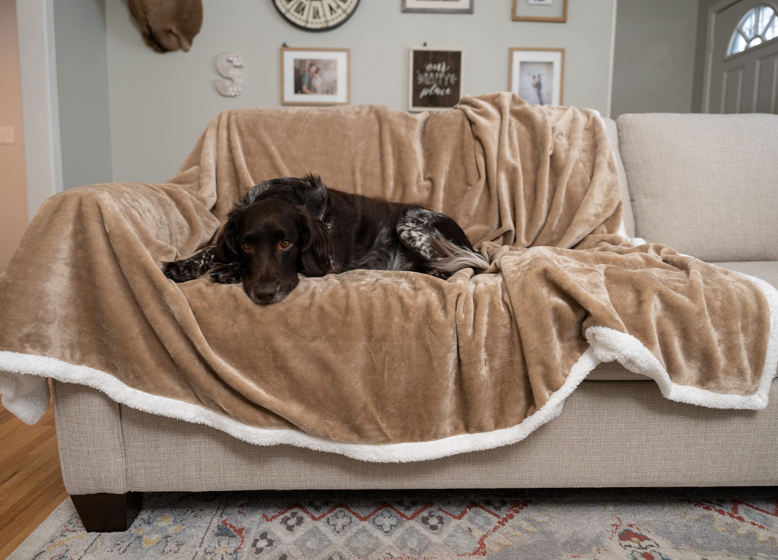 MyPillow Pet Blanket