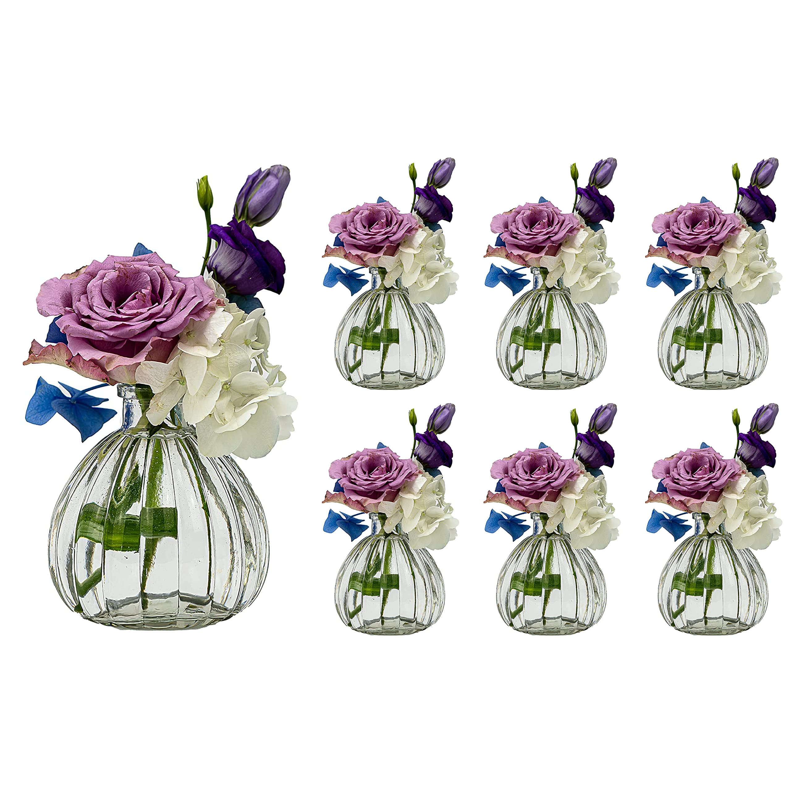 casavetro 6 or 12 pack Small Vase Flowers Table Vase Glass Bottle Set/Wedding Party Decoration Clear, Glass, White, Pack of 6