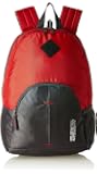 american tourister flint