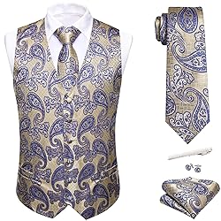 Barry.Wang Mens Suit Vest Yellow Blue Paisley Silk