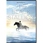 Black Stallion, The