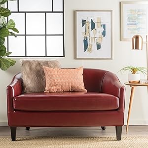 Christopher Knight Home Isolde Modern Petite Loveseat (Fabric (Red Leather)