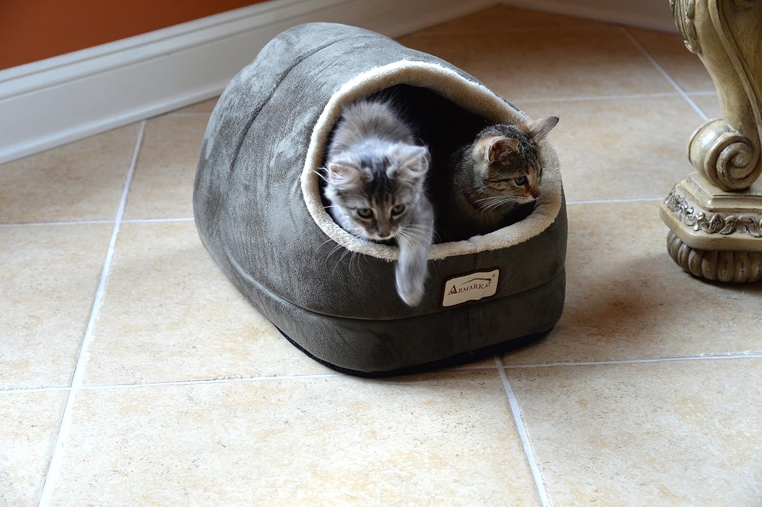 best-odor-controlling-cat-litter