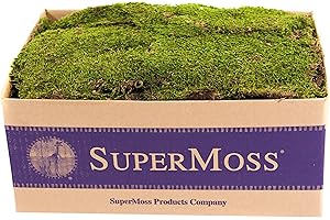 SuperMoss (21508) Preserved Sheet Moss, Fresh Green, 5 Pounds