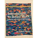 Introduction to Social Work: Through the Eyes of Practice Settings (Connecting Core Competencies)