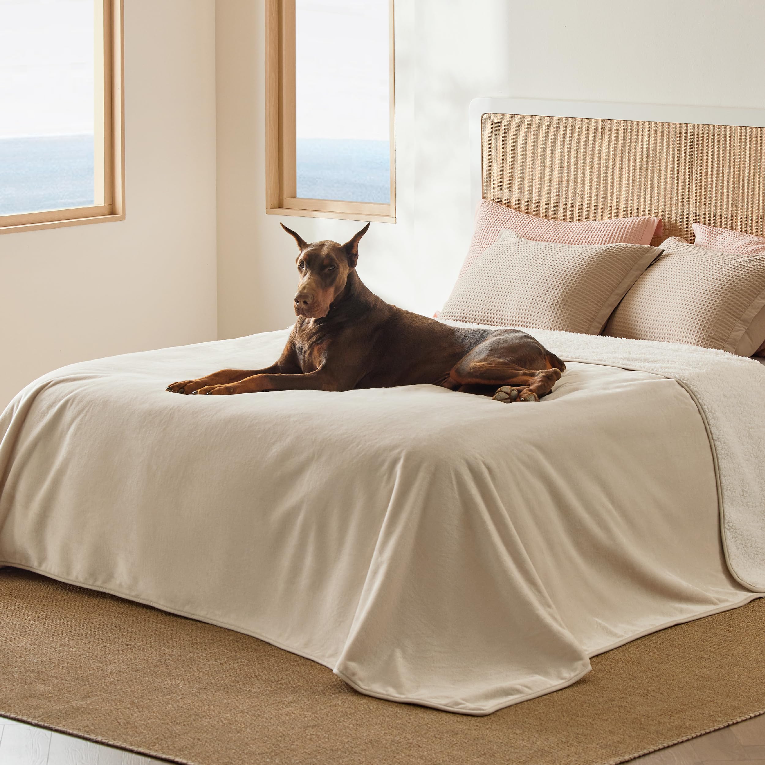 Photo 1 of Bedsure Waterproof Blanket for Bed - Sherpa Fleece Waterproof Dog Blankets for Large Dogs, Pet Blankets for Bed/Couch/Dog Crate, Soft Plush Reversible Furniture Protector, King Size, 108"x86", Cream