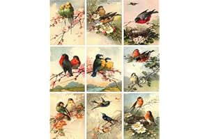 PAPER MOON MEDIA Catherine Klein Vintage Victorian Birds Collage Sheet 8.5 x 11" Bird Art for Scrapbooking, Card Making