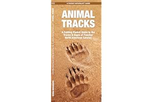 Animal Tracks (Nature Observation North America)
