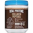 Vital Proteins Chocolate Collagen Powder Supplement (Type I, III) for Skin Hair Nail Joint - Hydrolyzed Collagen - Dairy and 