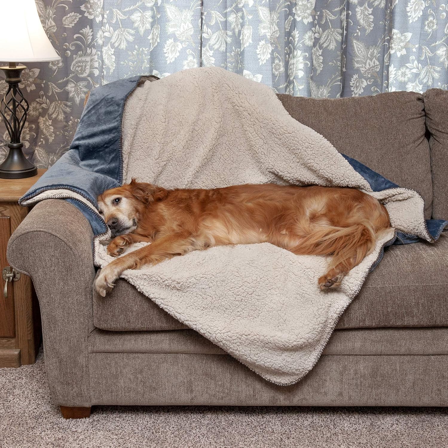 thermal dog blanket