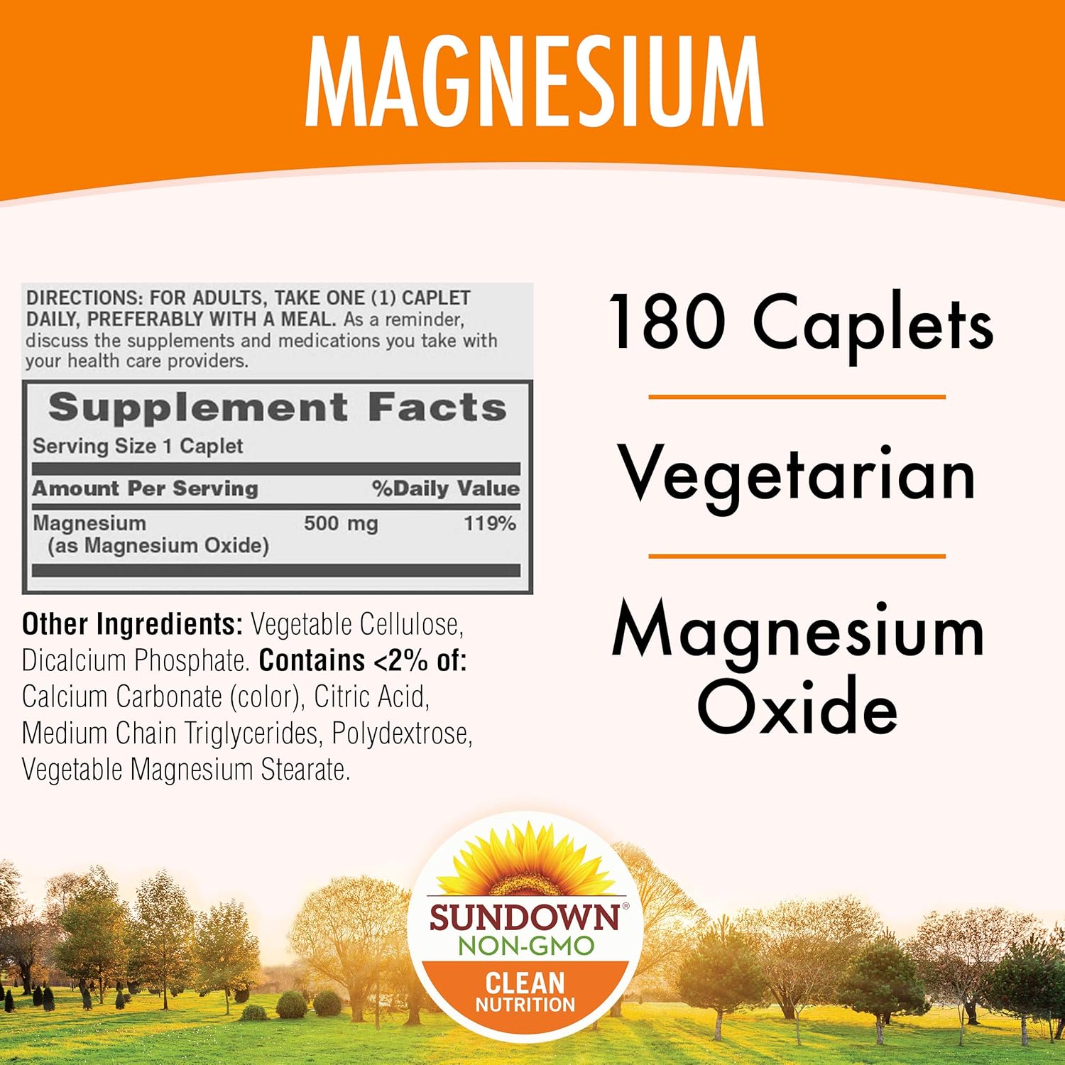 Sundown Magnesium, 500 mg (180 Coated Caplets) Mineral Supplement, Meets Daily Recommended Intake (Packaging May Vary), Vegetarian, Non-GMOˆ, Free of Gluten, Dairy, Artificial Flavors: Health & Personal Care