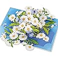 POPWOW Daisy Pop Up Cards, White Daisy, Butterfly, 3D Greeting Cards, Gifts for Birthday, Mothers Day, Valentines Day, Mom, Wife, Girlfriend, Sister, 5x7 - Includes Envelope And Message Note
