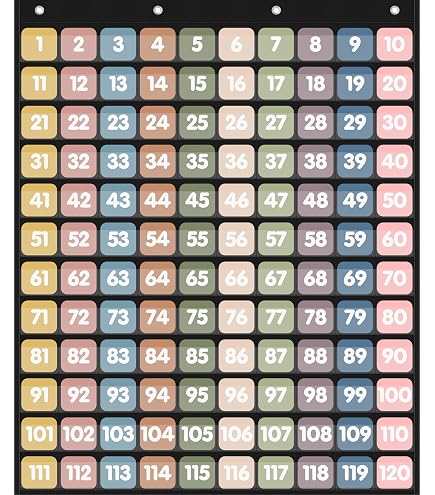 Amazon.com: LEARNING ADVANTAGE 1-120 Pocket Chart - Number Chart