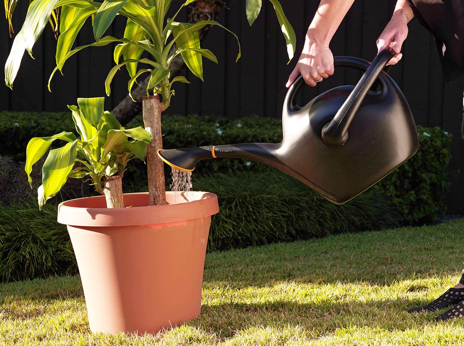 Bloem Easy Pour Watering Can, 2.6 Gallon, Black (20-47287CP) : Garden & Outdoor