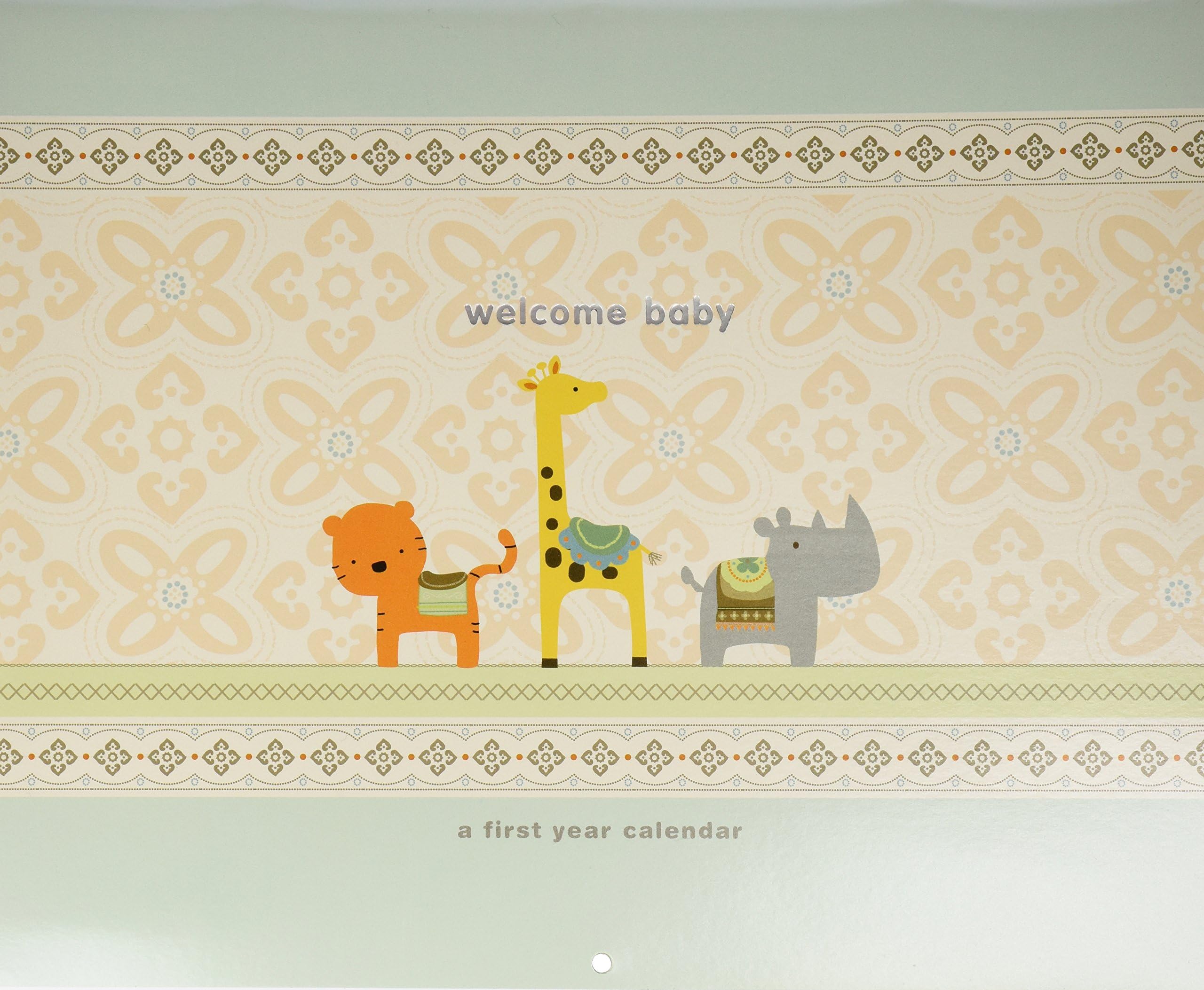 Carter's First Year Calendar, Stickers Provided, Measures 11 x 18" - Wonder