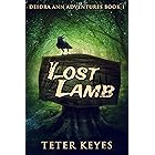 Lost Lamb (Deidra Ann Adventures Book 1)