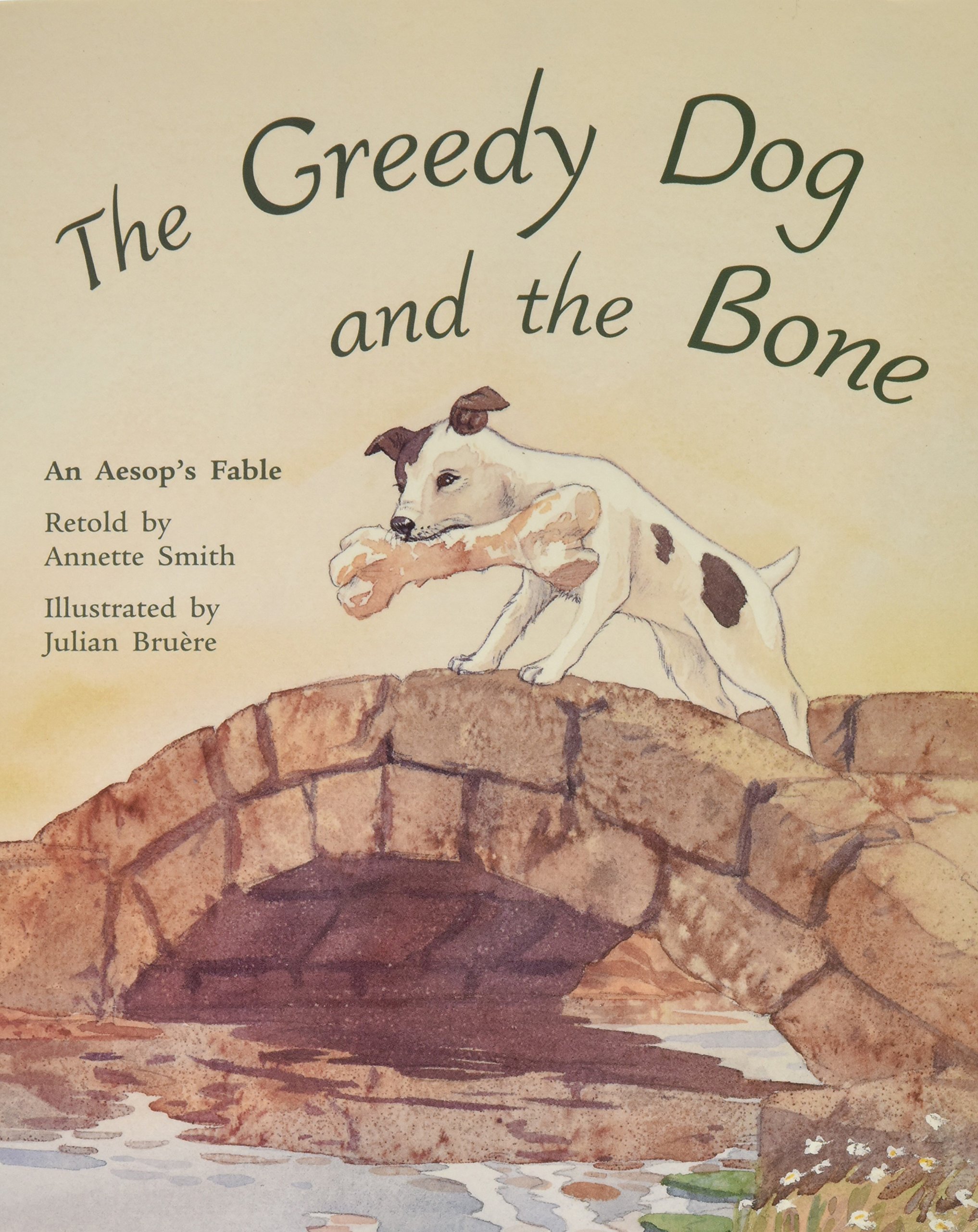the greedy dog and the bone