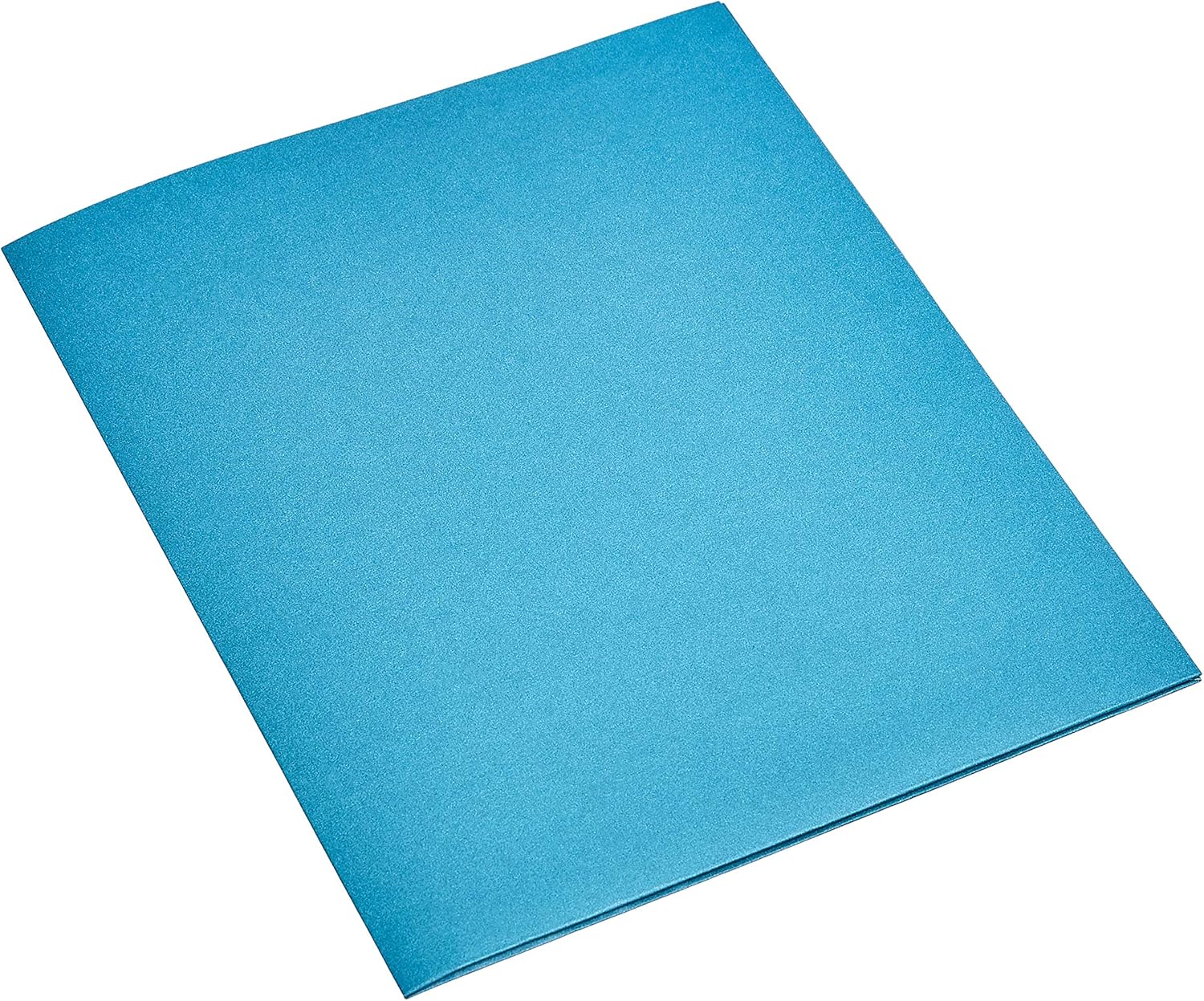 Basics Two Pocket Paper Portfolio, Assorted Colors, 10-Pack : Office Products