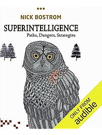 Superintelligence: Paths, Dangers, Strategies