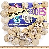 DANCING BEAR 25 Break Your Own Geodes, (Medium 1-1.5") 90% Hollow, Crack Open & Discover Amazing Surprise Crystals Inside! Ed