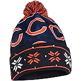 FOCO NFL Light Up Beanie