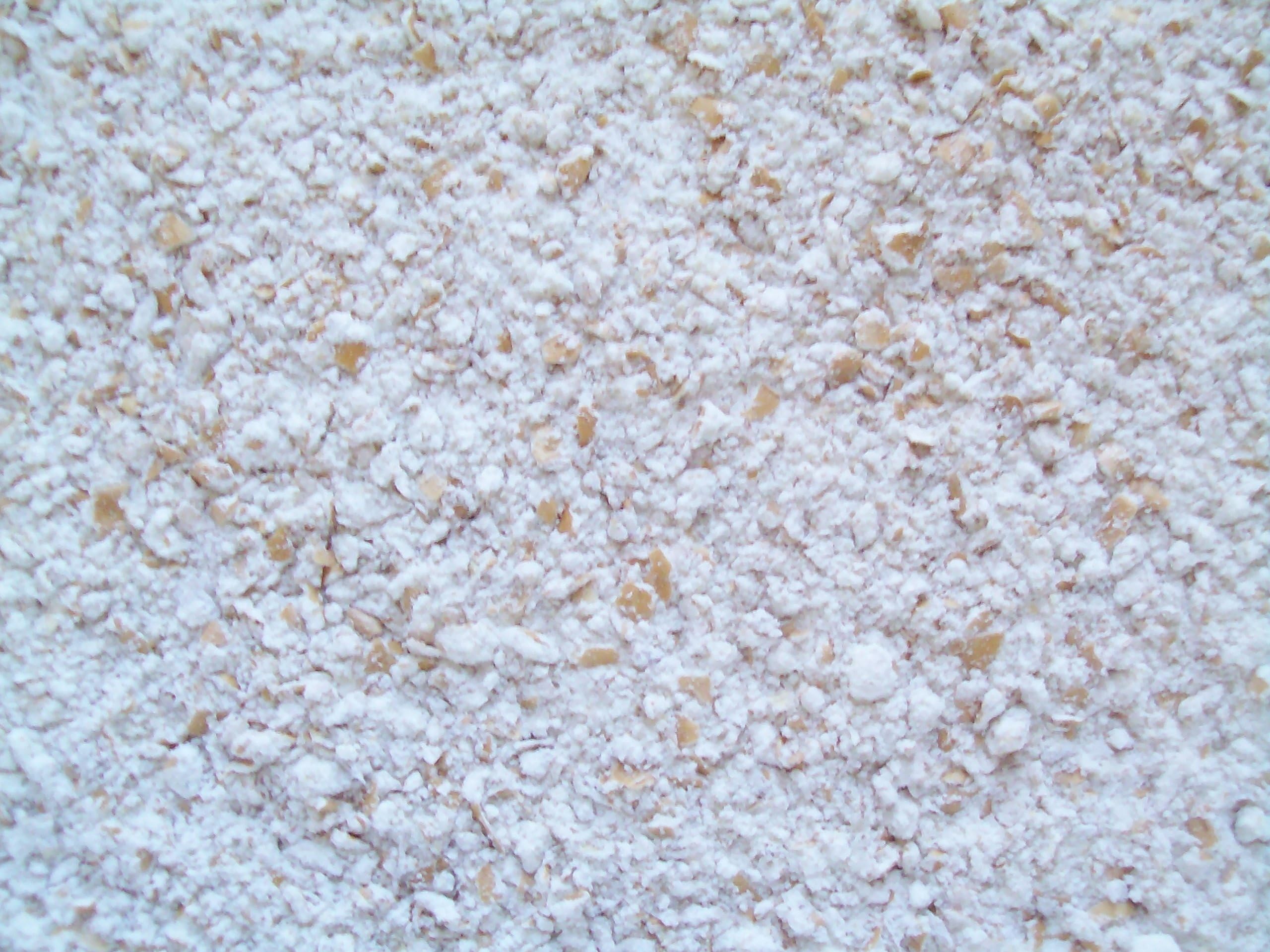 Organic Pastry Flour, Whole Wheat (SRW), Stone Ground Fresh, Farmer Direct, 1 lb., Organic, non-GMO, IP