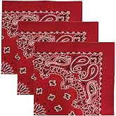 USA Made Military Army Trainmen Paisley 22 / Hav A Hank Paisley Bandana Made in USA (Set of 3)
