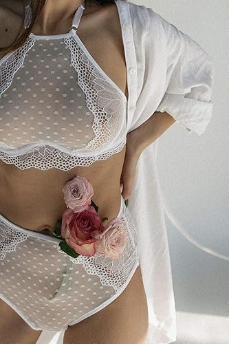 Mesh High Waisted Panties 